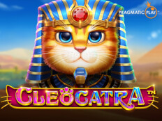 Rich casino free spins. Chatgpt para kazanma.91